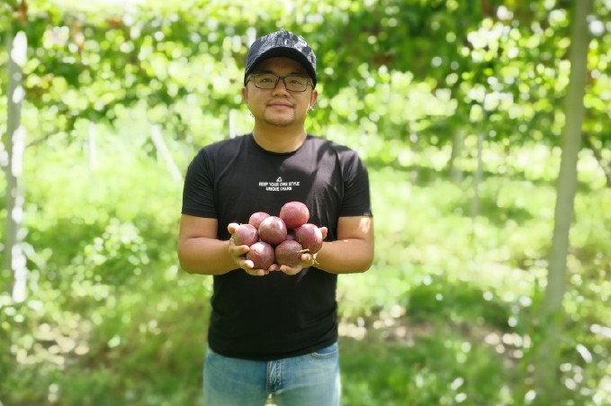 【广西蒙山：百香果】好产品自己会说话 第二批精选果正式开始接单！