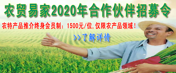 2020招募令副本