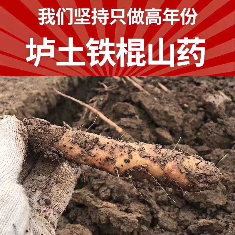 垆土铁棍山药