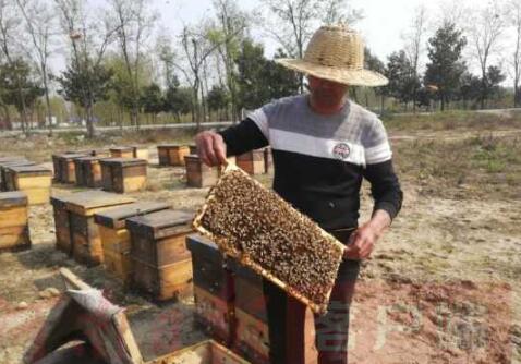 方城县草庐蜂业专业合作社