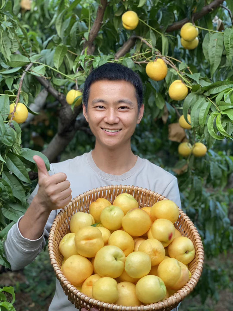 沂蒙山露天黄金油桃