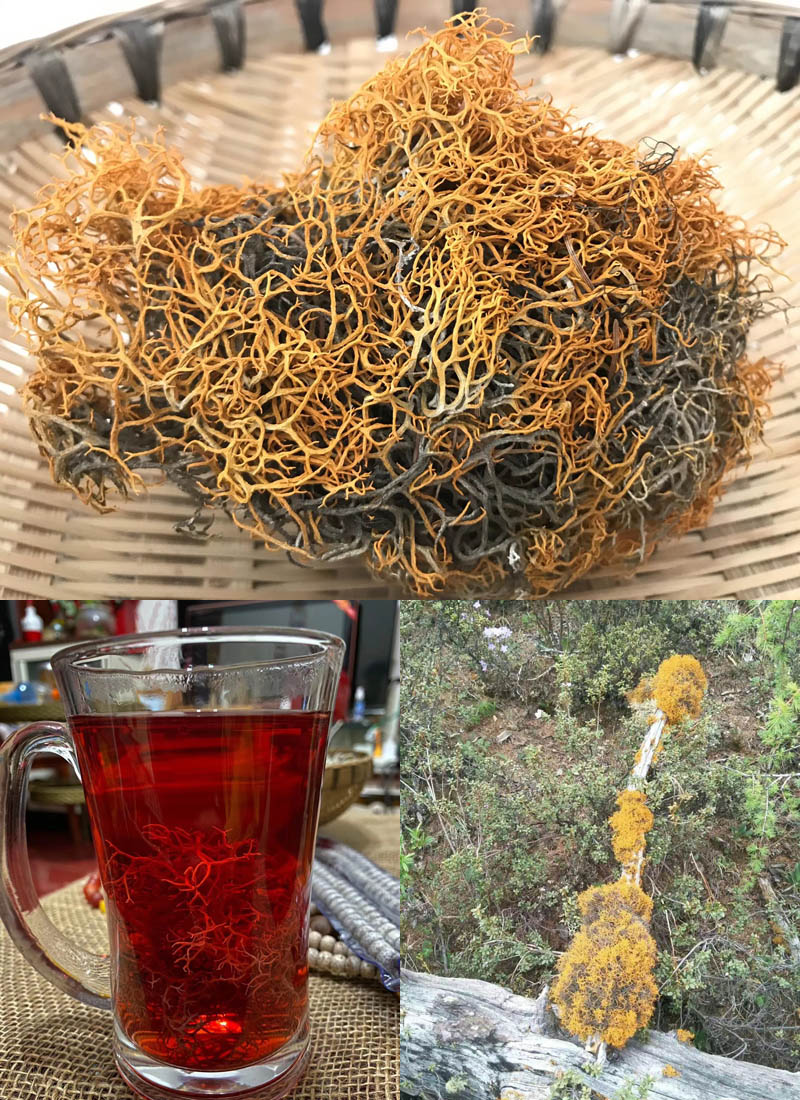 红雪茶 又名鹿心雪茶 金丝茶 是保健馈赠亲友佳品 欢迎各渠道对接 农贸易家