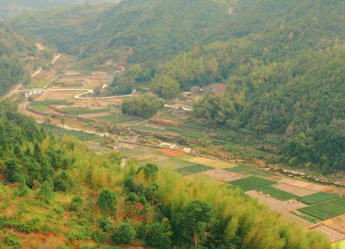 福建宁德黄仁村