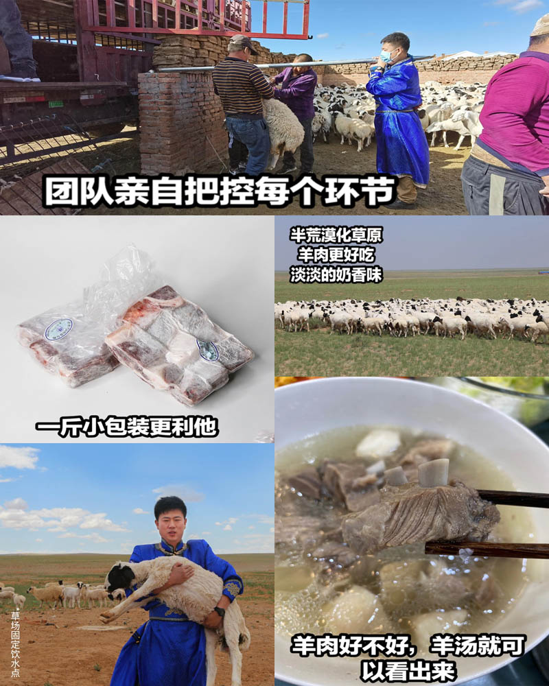 漠北苏尼特羊肉20201103