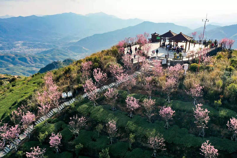 福建厦门莲花镇白交祠村20210226