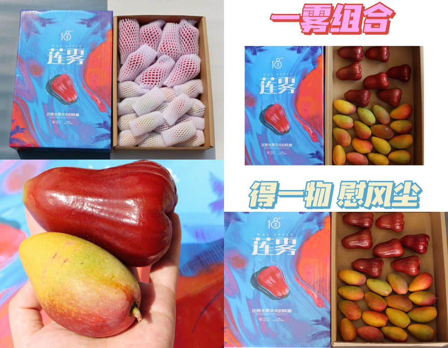 十八度果缘®芒果莲雾组合20210508