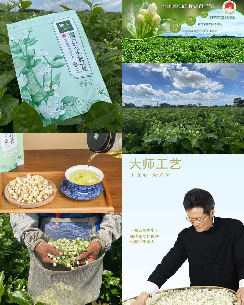 谢大高™广西横县茉莉花干20210629