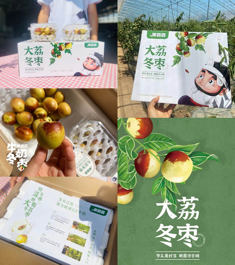 果霸霸®大荔牛奶冬枣20210707