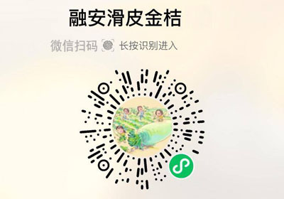 广西融安滑皮金桔20220216/果然