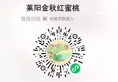 山东莱阳金秋红蜜桃20221009/果然